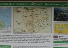 VWG vogelreis Oost Duitsland mei 2010 475